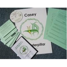 Magic Caterpillar Handwriting Programme Kit A+ 